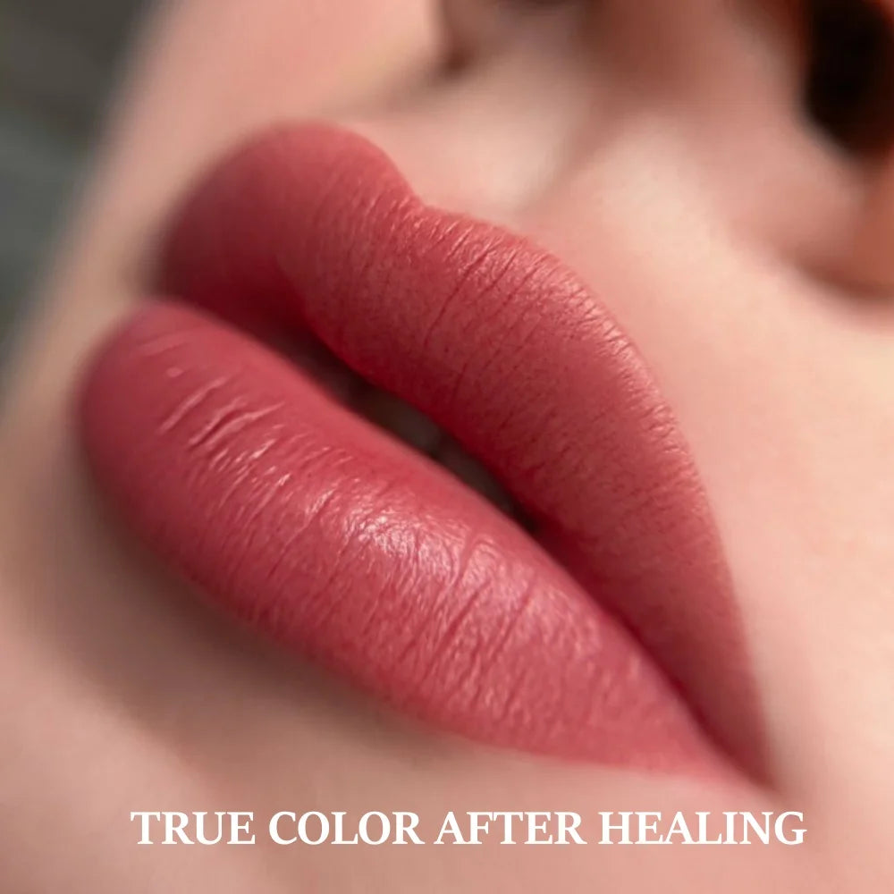 AIMOOSI Special Makeup Lip Pigment
