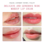AIMOOSI Special Makeup Lip Pigment